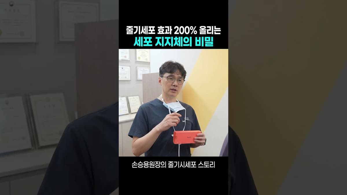 줄기세포 효과 200% 올리는 세포 지지체의 비밀
