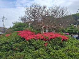 푸른하늘#1