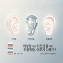 귀성형 vs 귀재건술 vs 귓불성형, 어떻게 다를까? 선택 기준 5가지