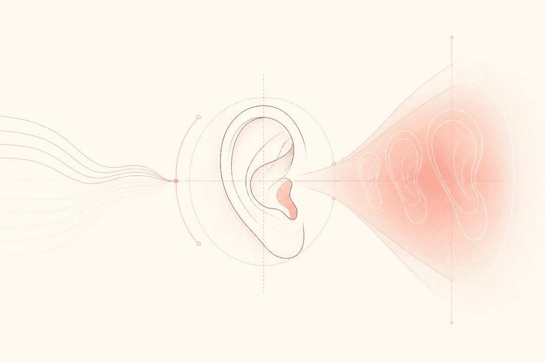 Where individual differences become most pronounced in ear surgery — Plastic surgery information, medical aesthetics infographic