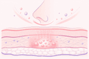 Relleno nasal