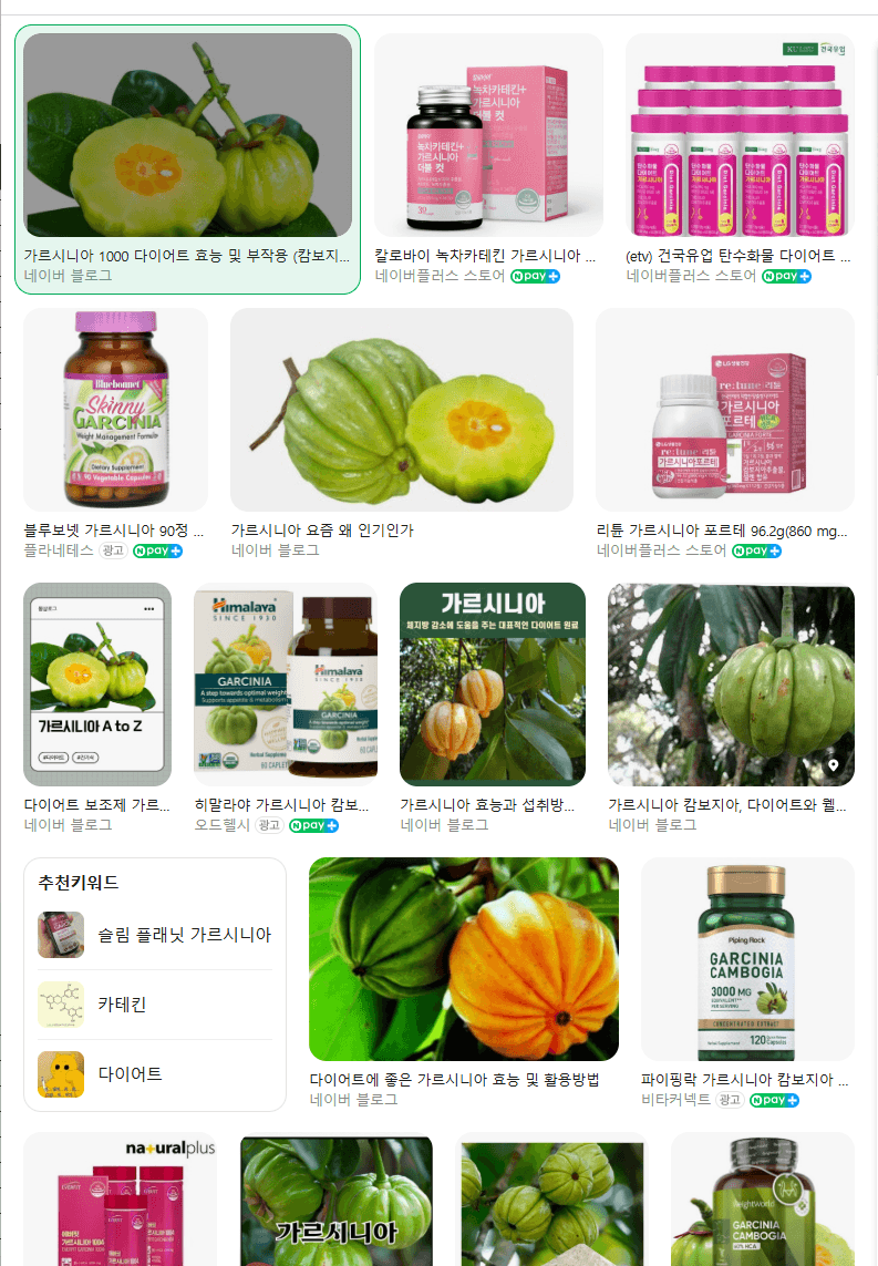 가르시니아 효과 있는 건가요? 1